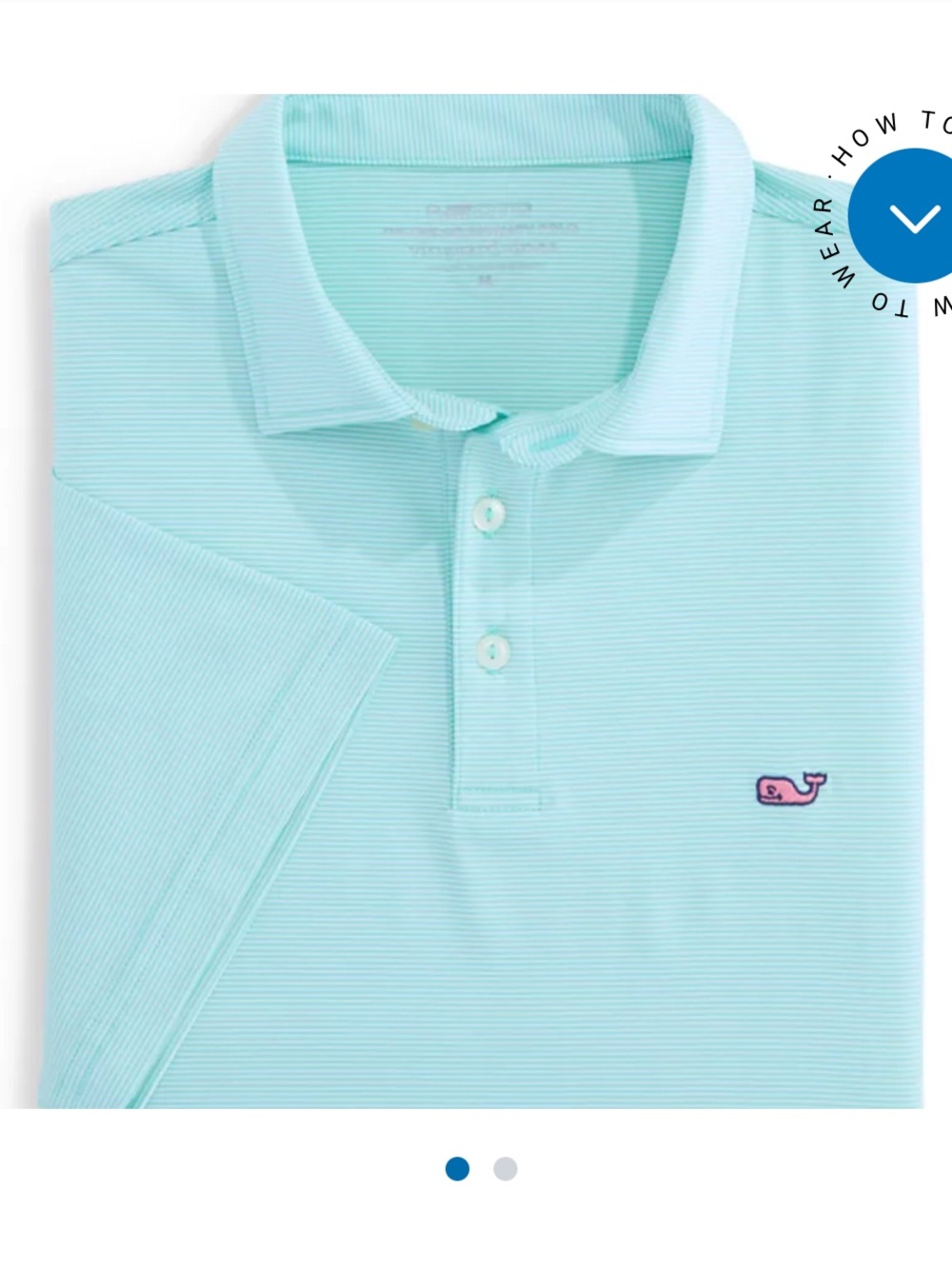 Vineyard Vines Men's Polo in Mint Green